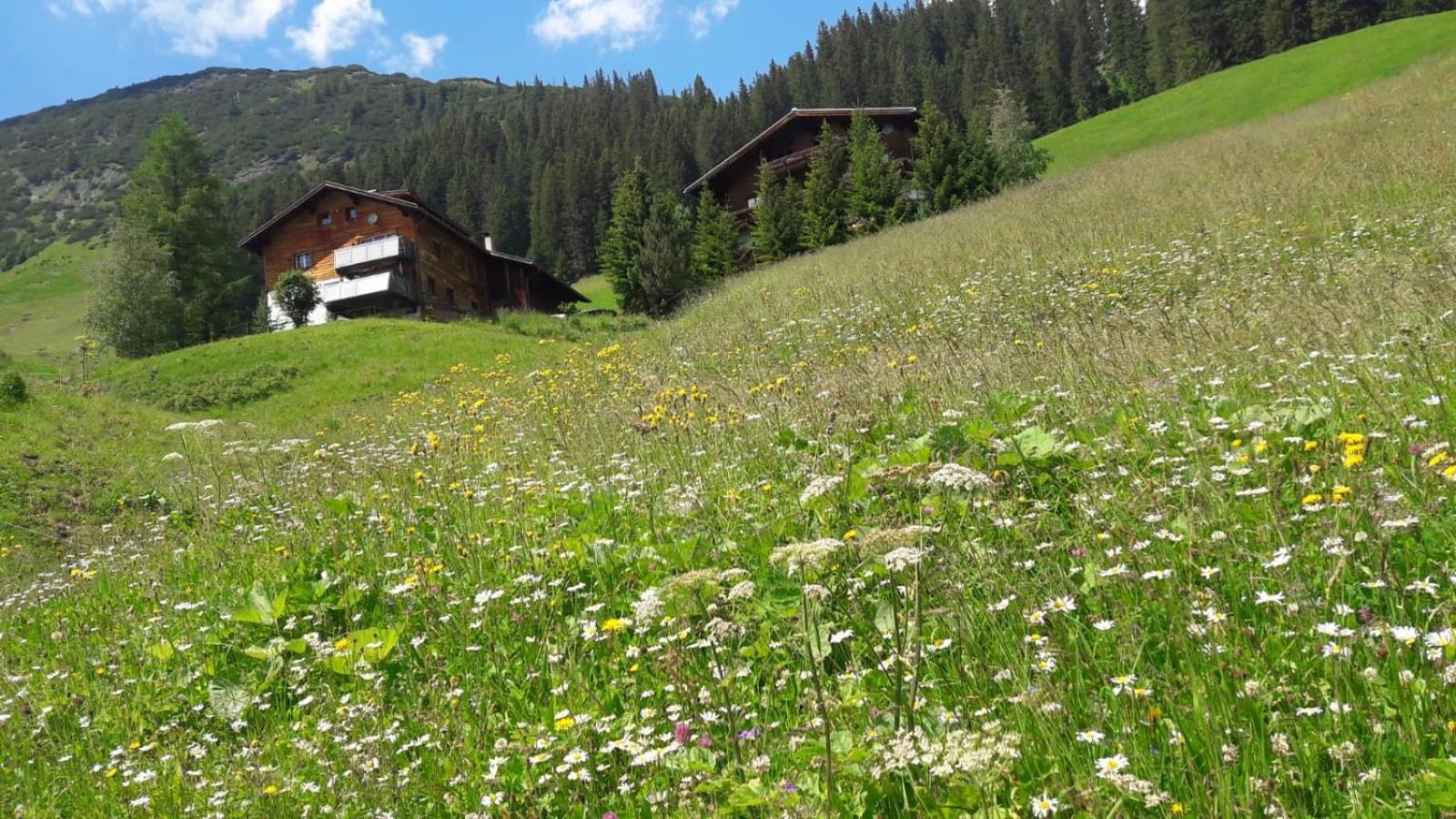 Ferienwohnung Haus Sonnenschein Warth  Exterior foto